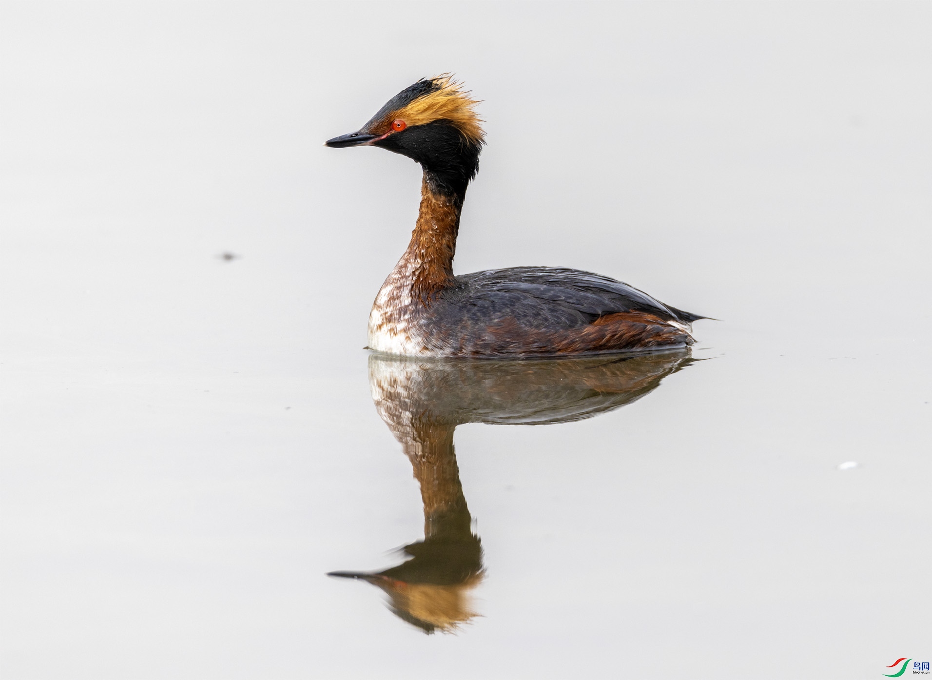 4K2A1348 ����.jpg