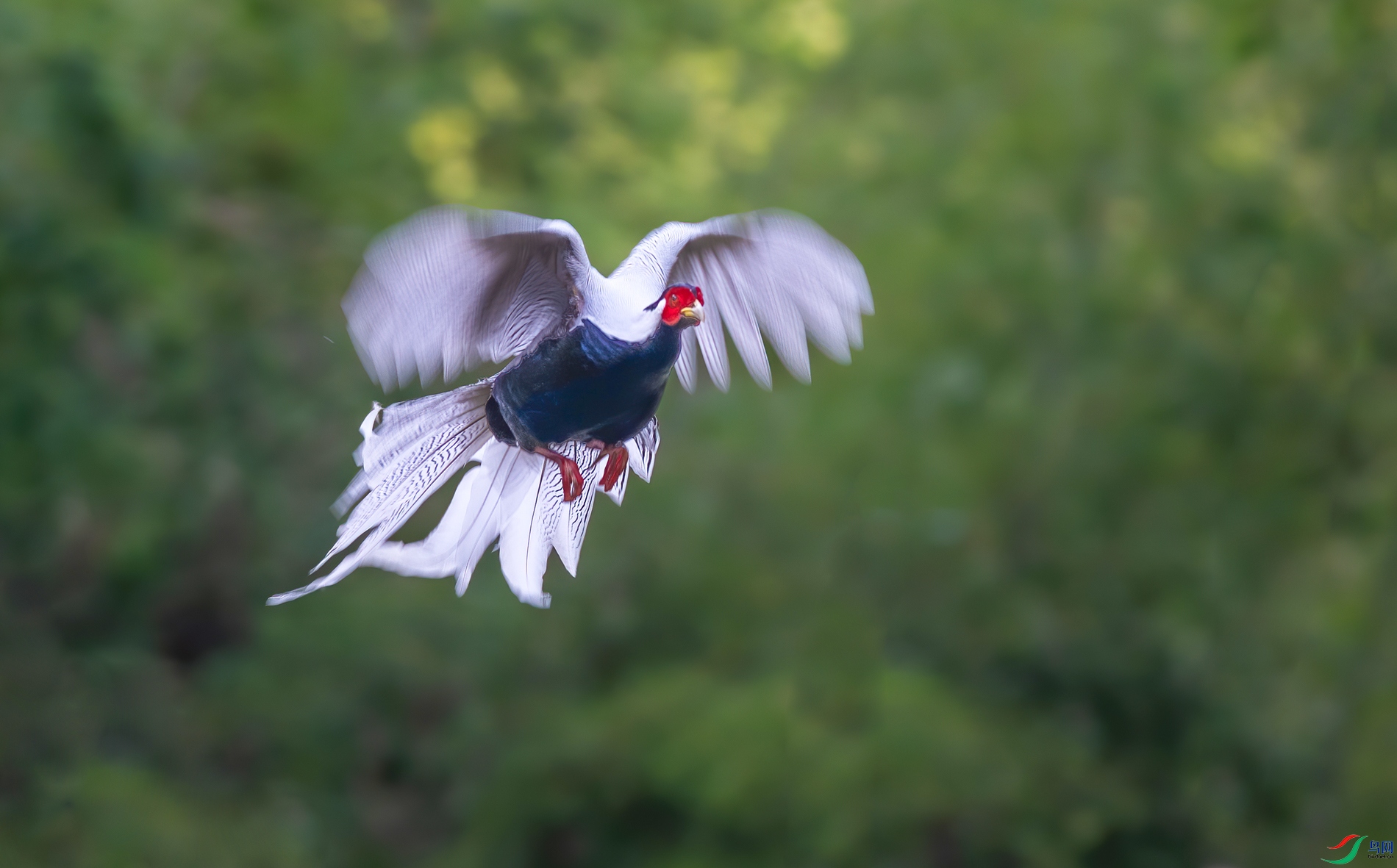 DSC_6774-1.jpg