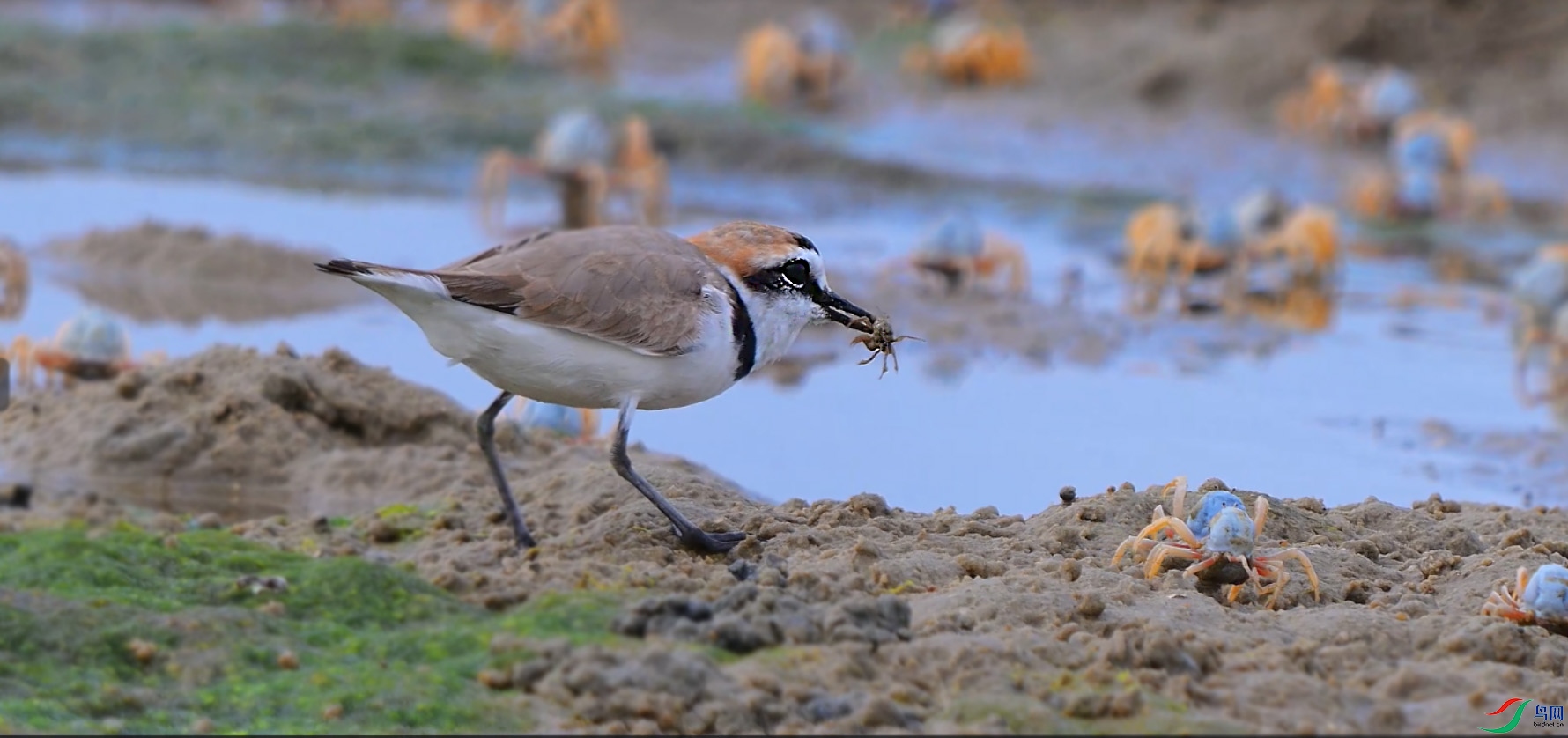 {979AD892-EC21-4584-9376-4CDE255631A3} ����.jpg