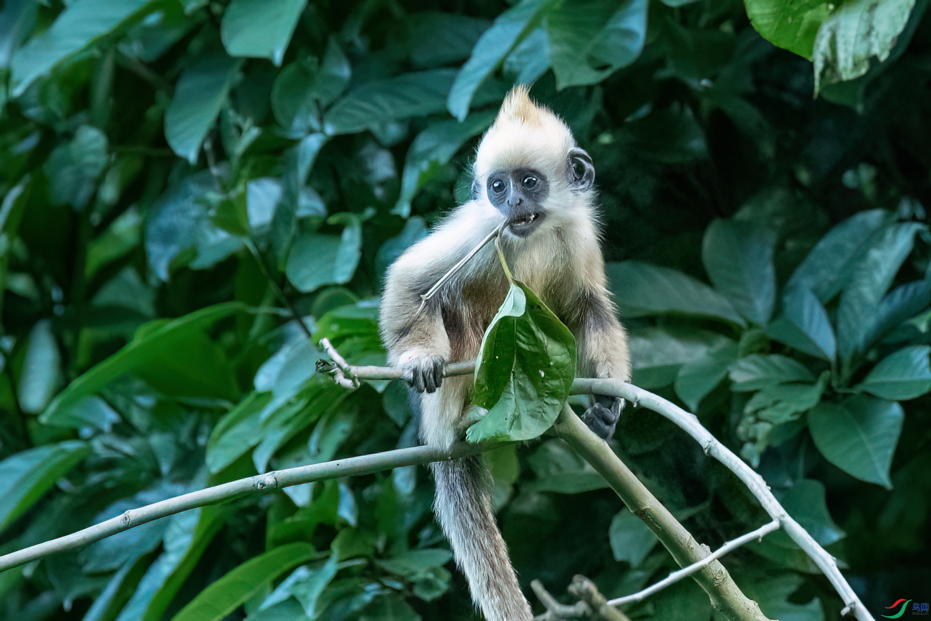 B86I3335 _����.jpg