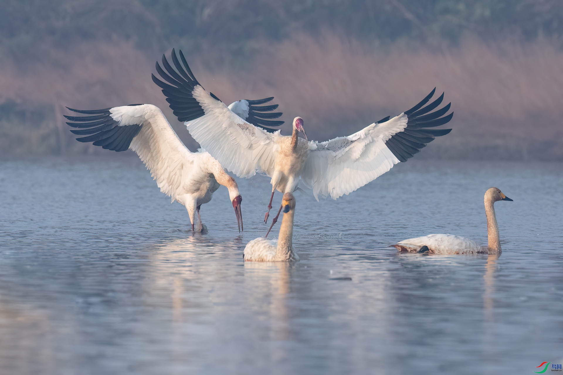 B86I3160 _����.jpg