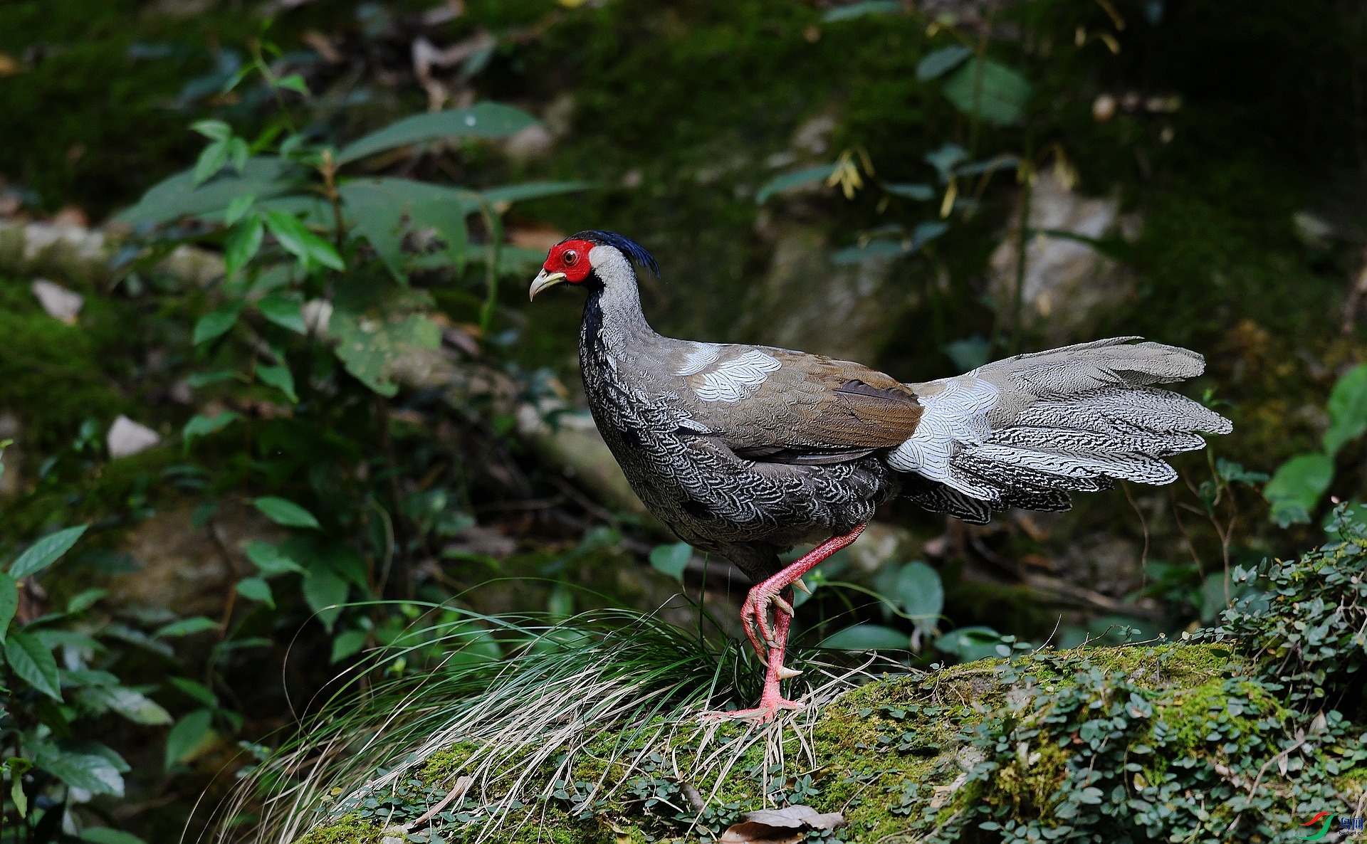 DSC_6072.jpg