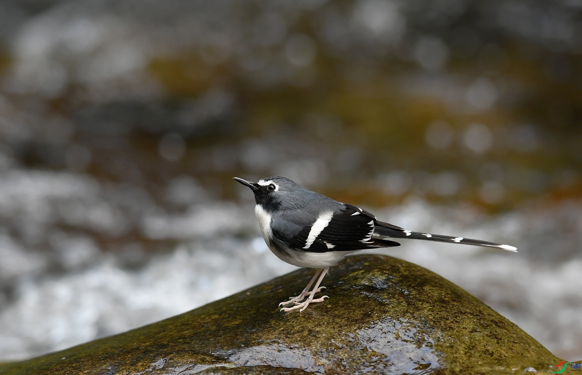 DSC_6202.jpg