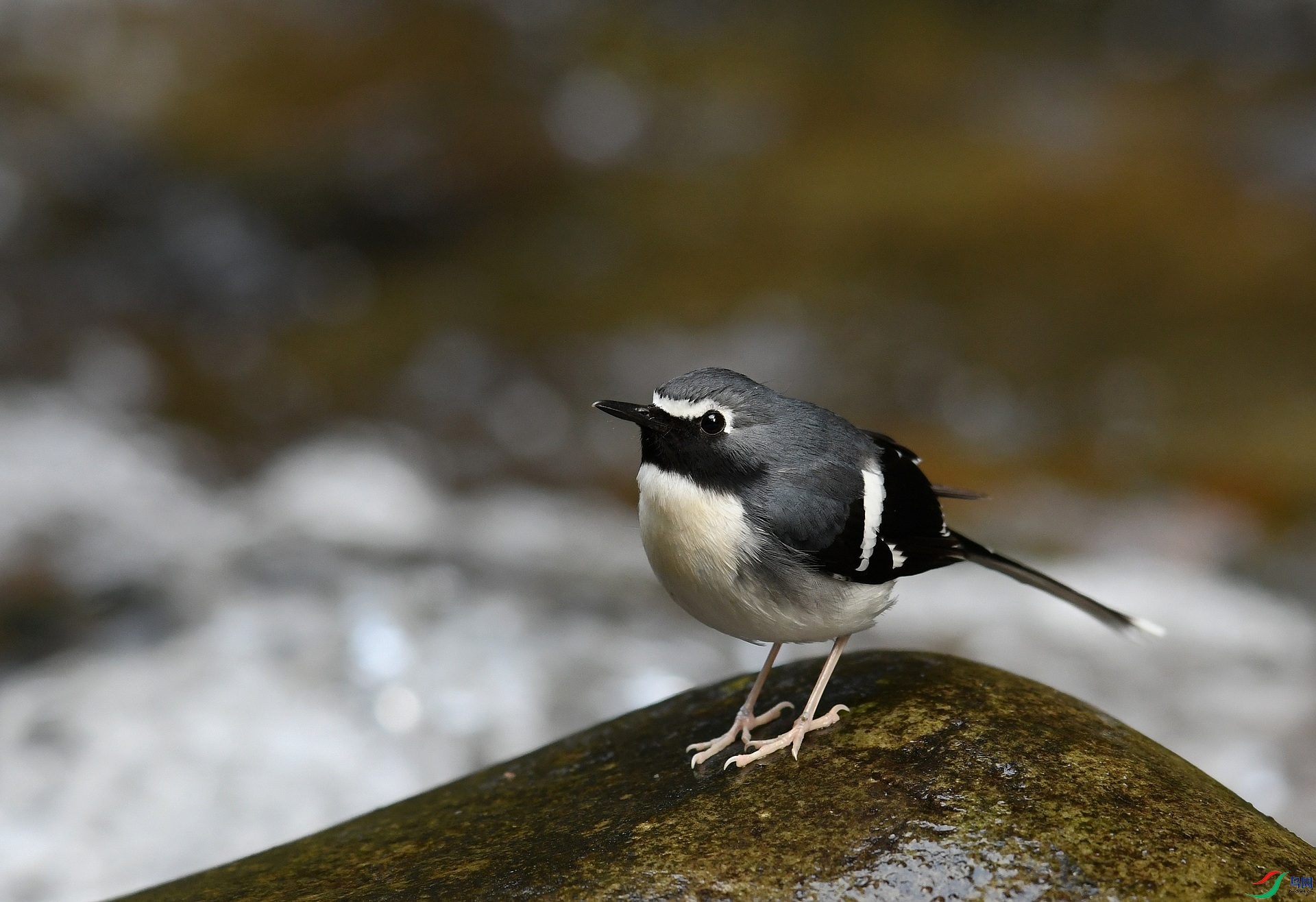 DSC_6200.jpg