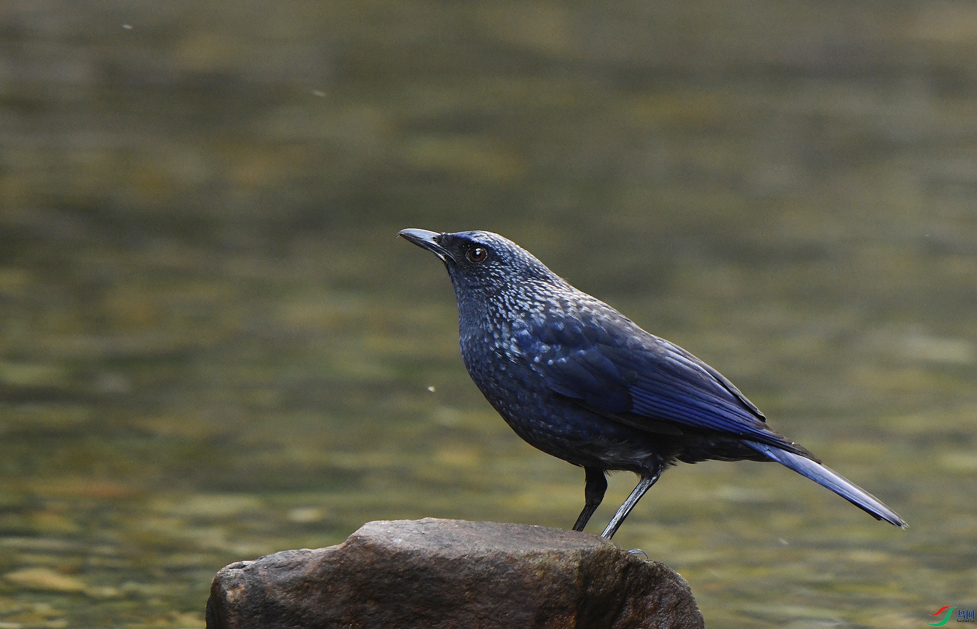 DSC_8898.jpg
