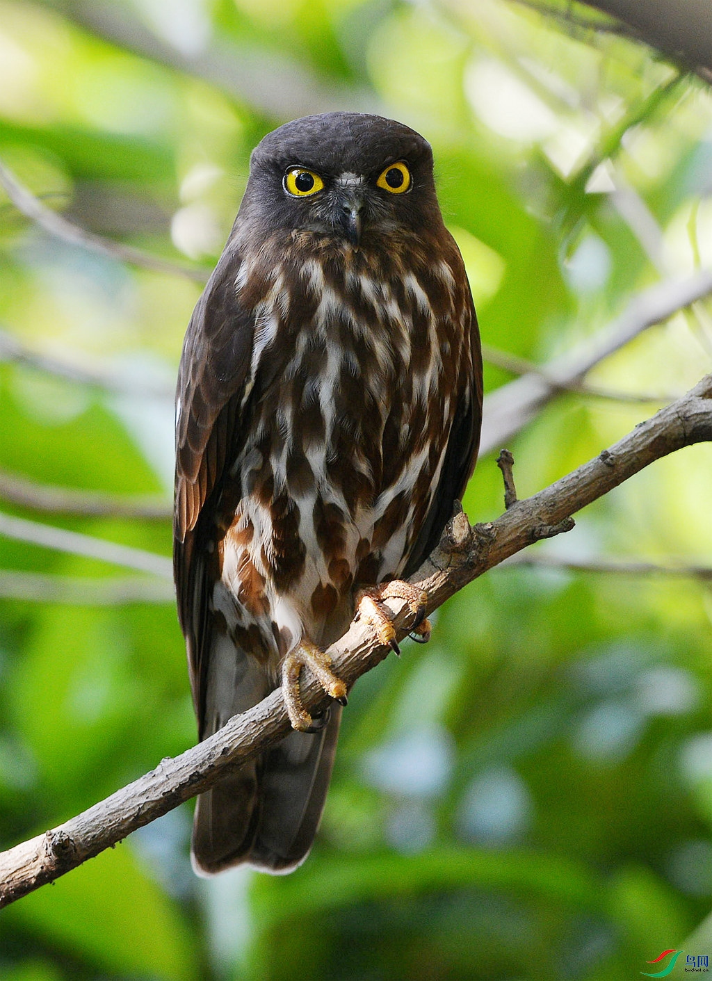 DSC_5477_.jpg