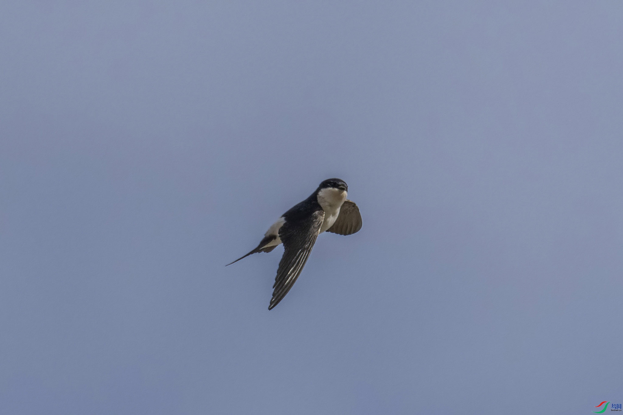 ë����008-DeNoiseAI-low-light.jpg