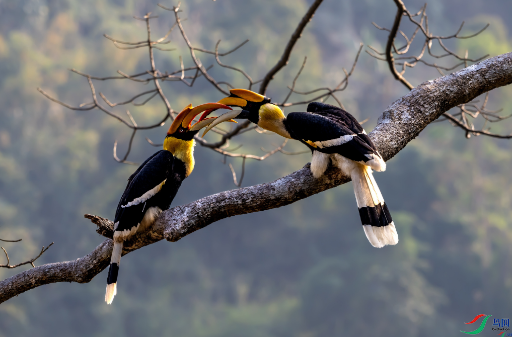 �������У��ٻ��Ա���������ܼδ� 5.png