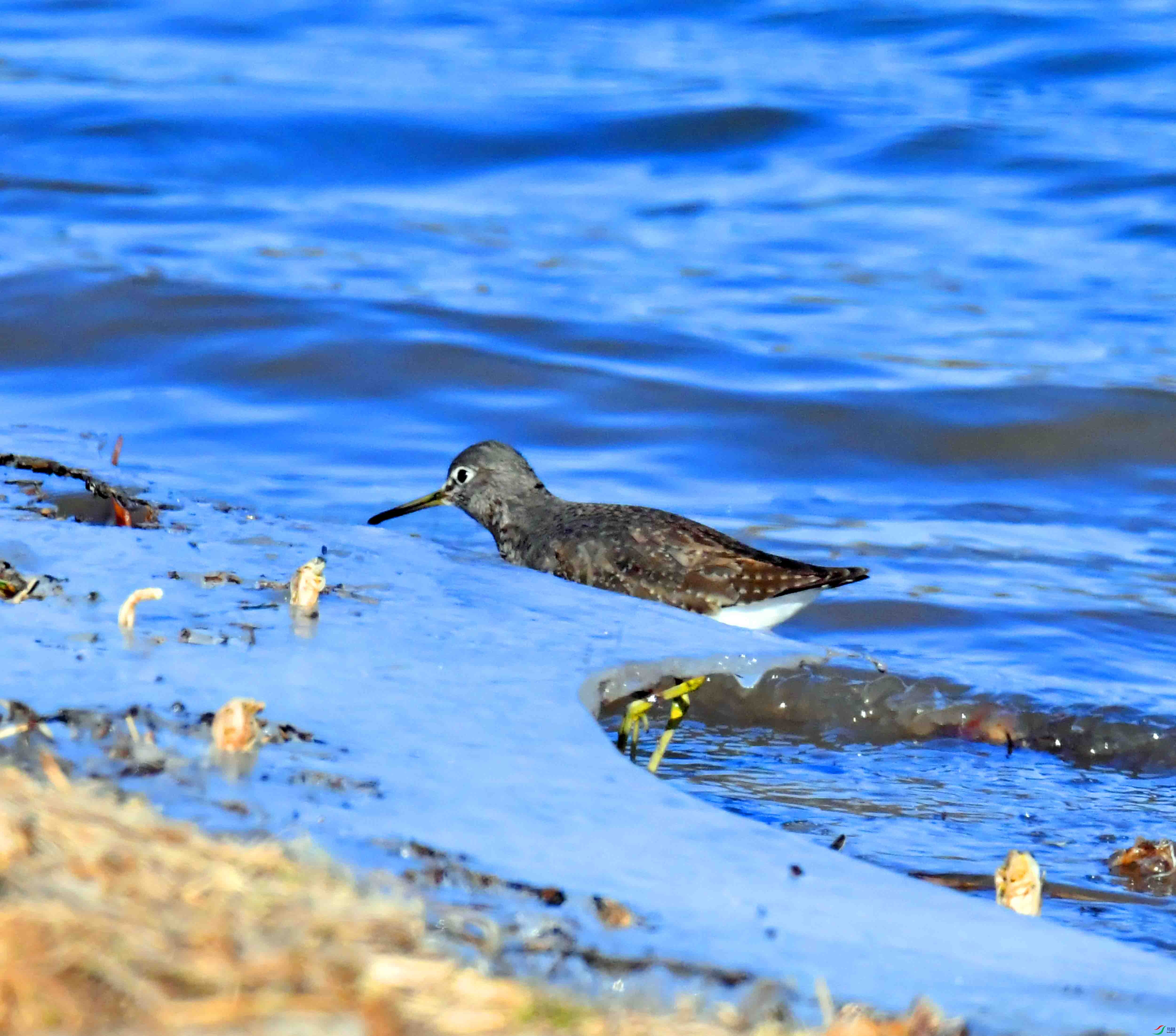 DSC_1668.JPG
