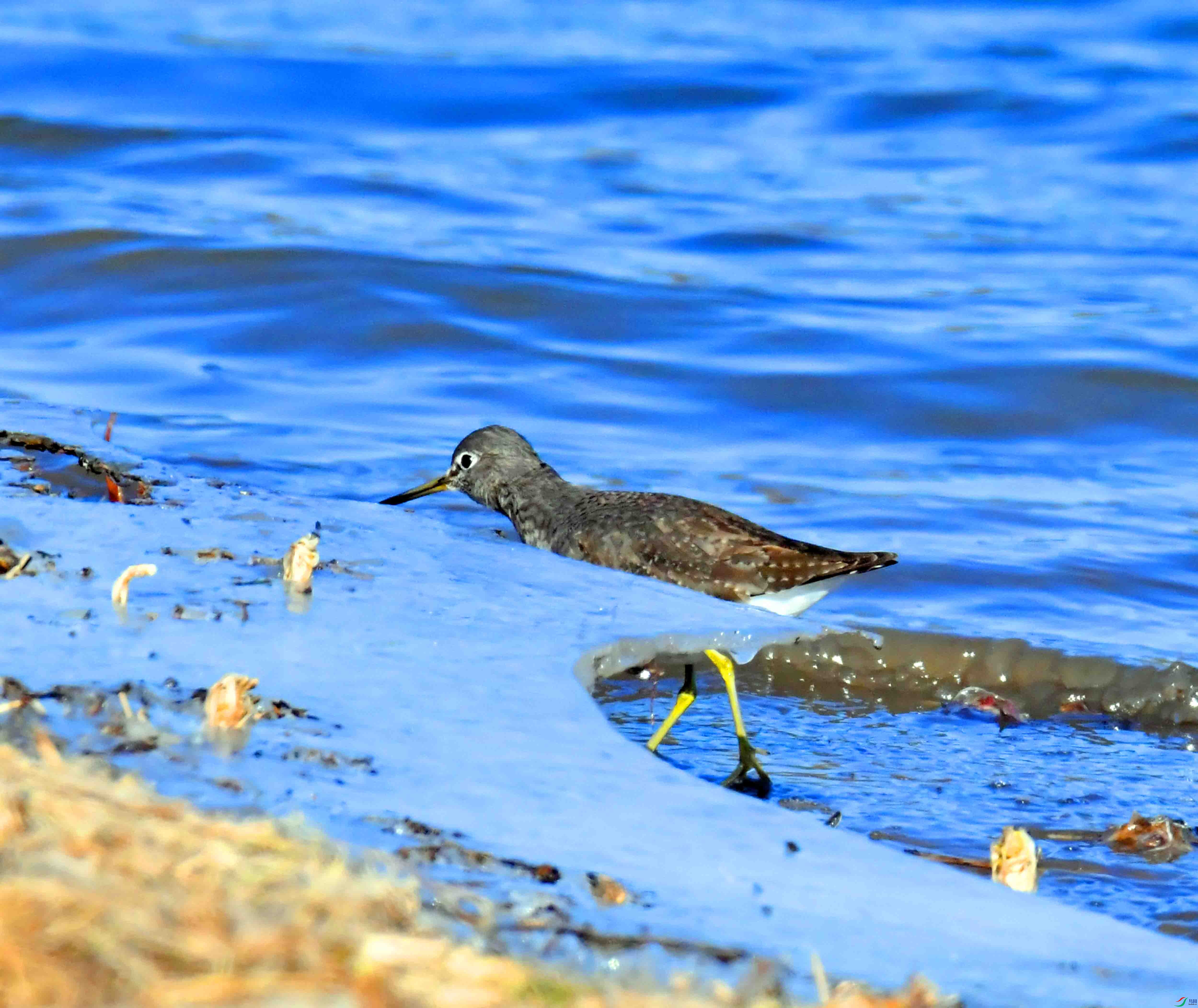 DSC_1667.JPG