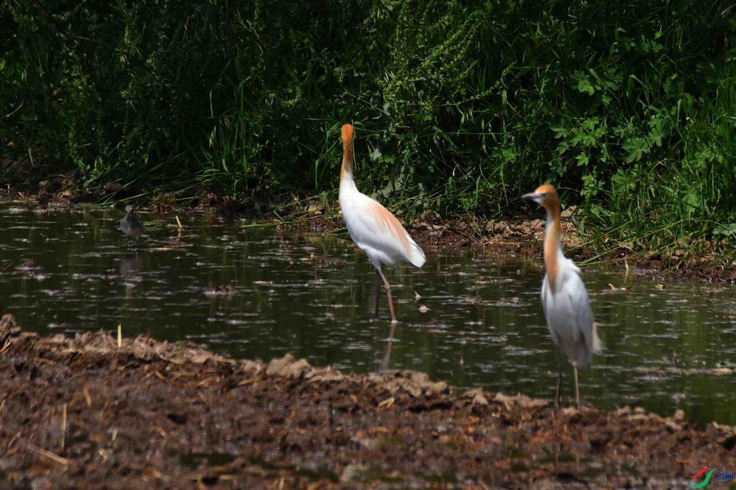 DSC_8004.JPG