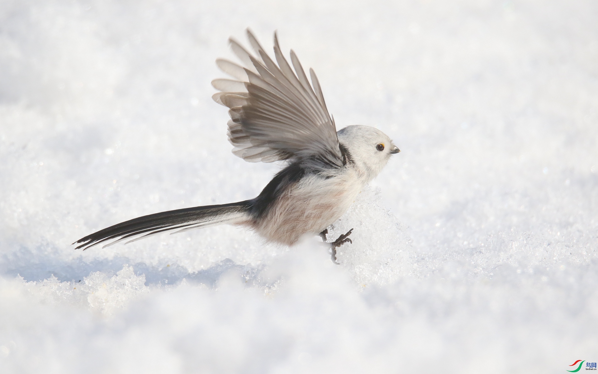 0G1A0300 ����.jpg