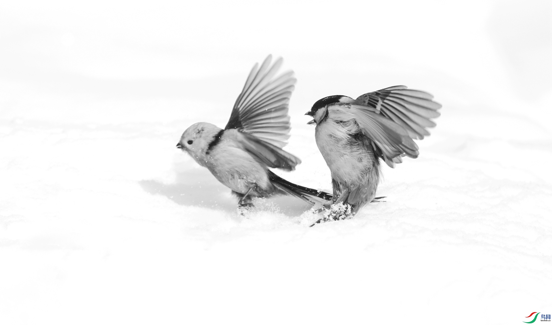 0G1A3349 ����.jpg