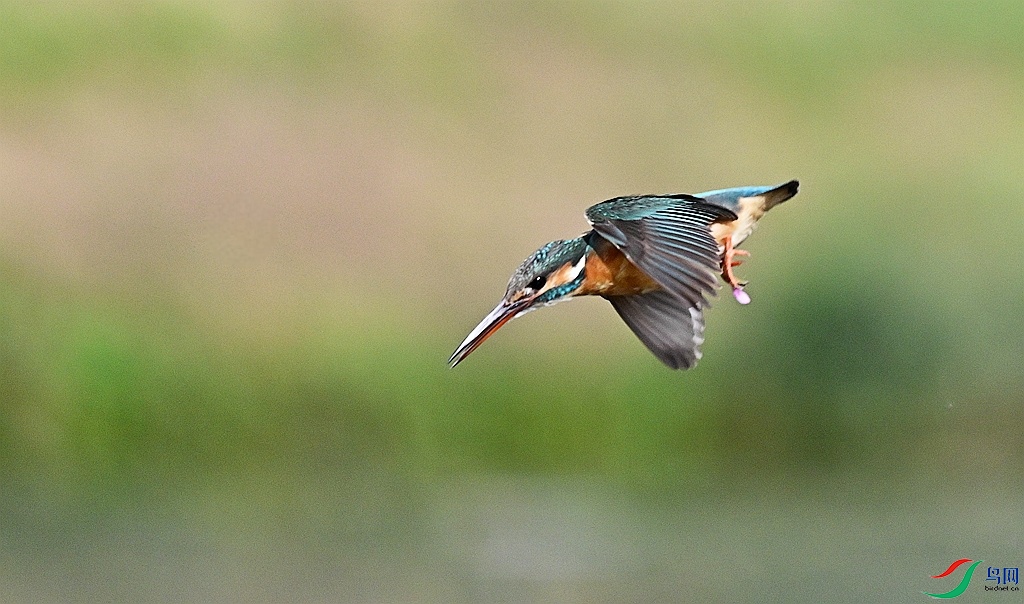 DSC_4123.JPG