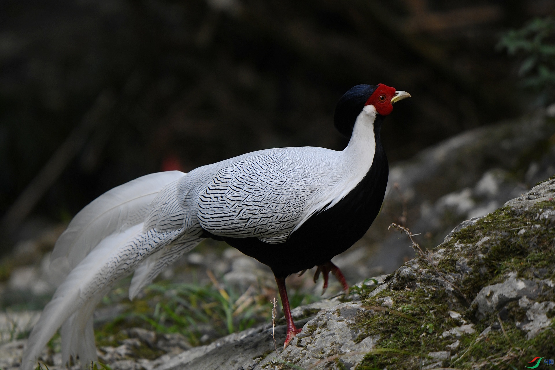DSC_8974.jpg