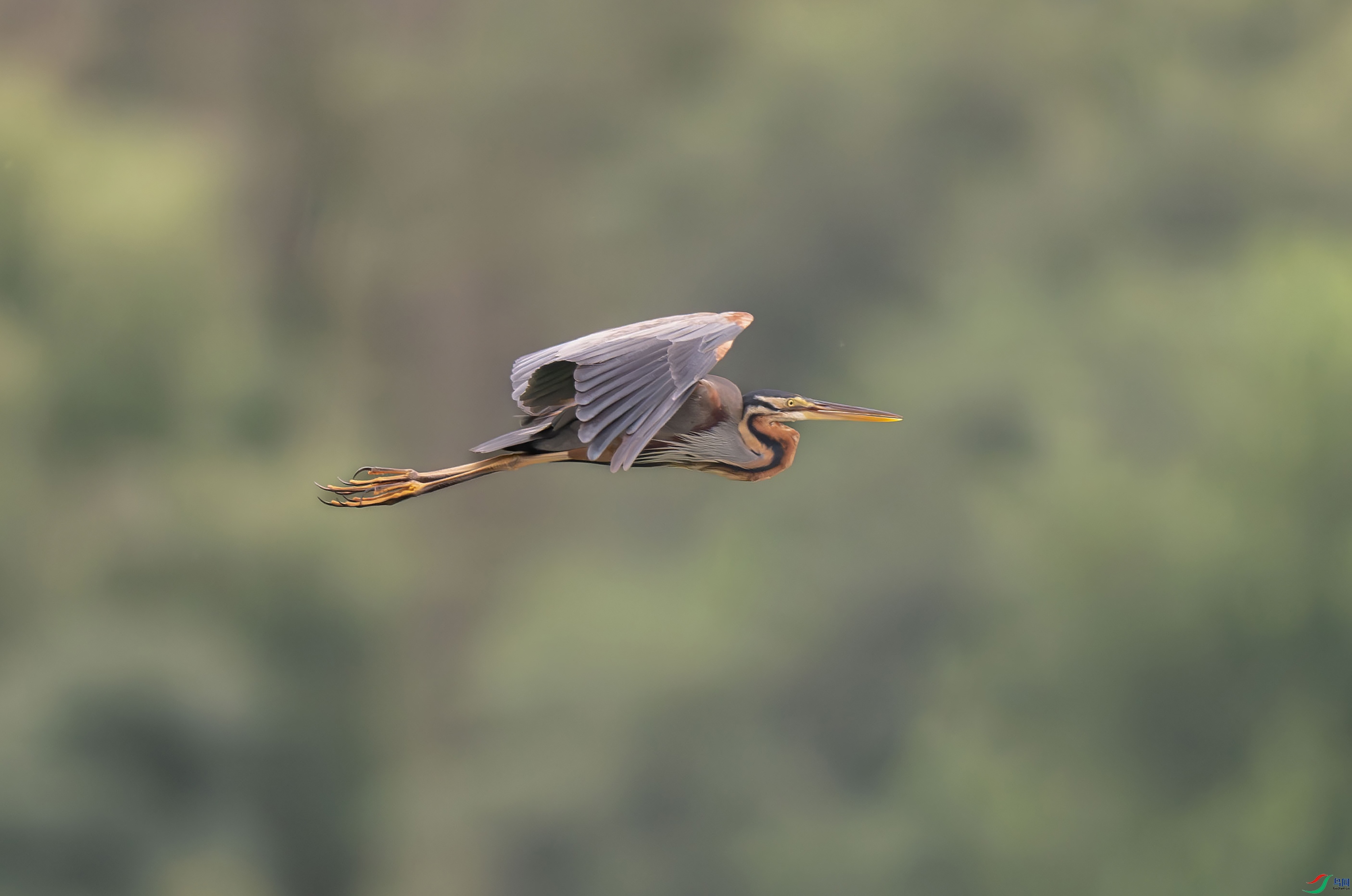 DSC_4640.jpg