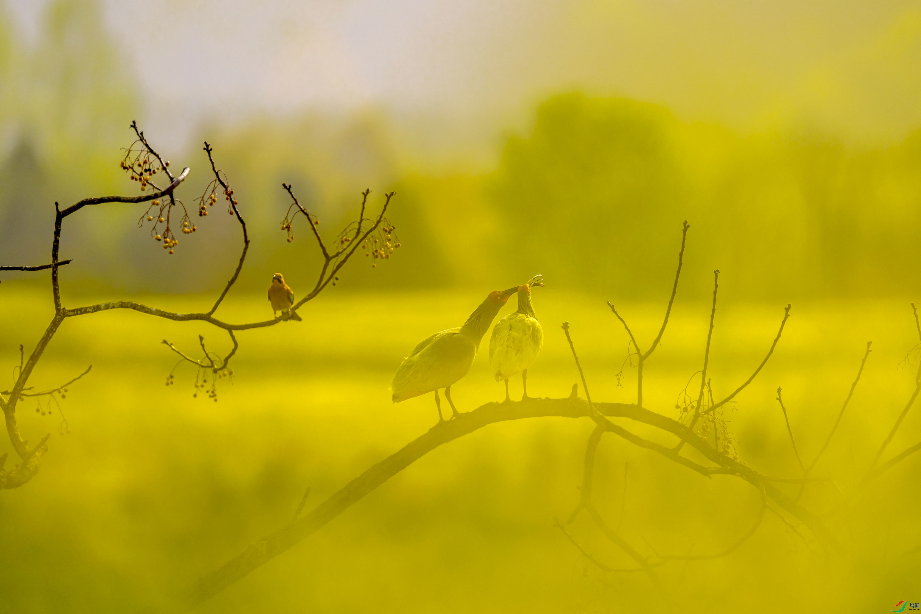 _DSC1711 ���� 2F001.jpg