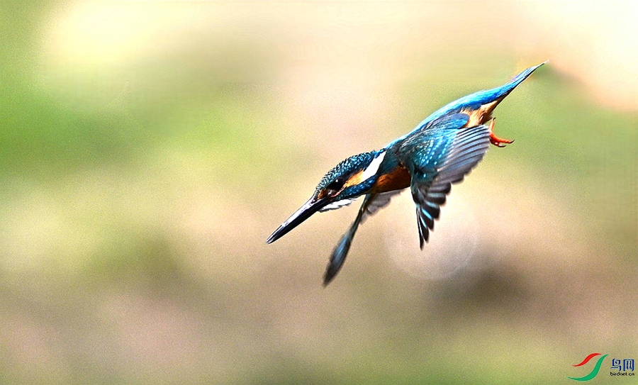 DSC_5568.JPG