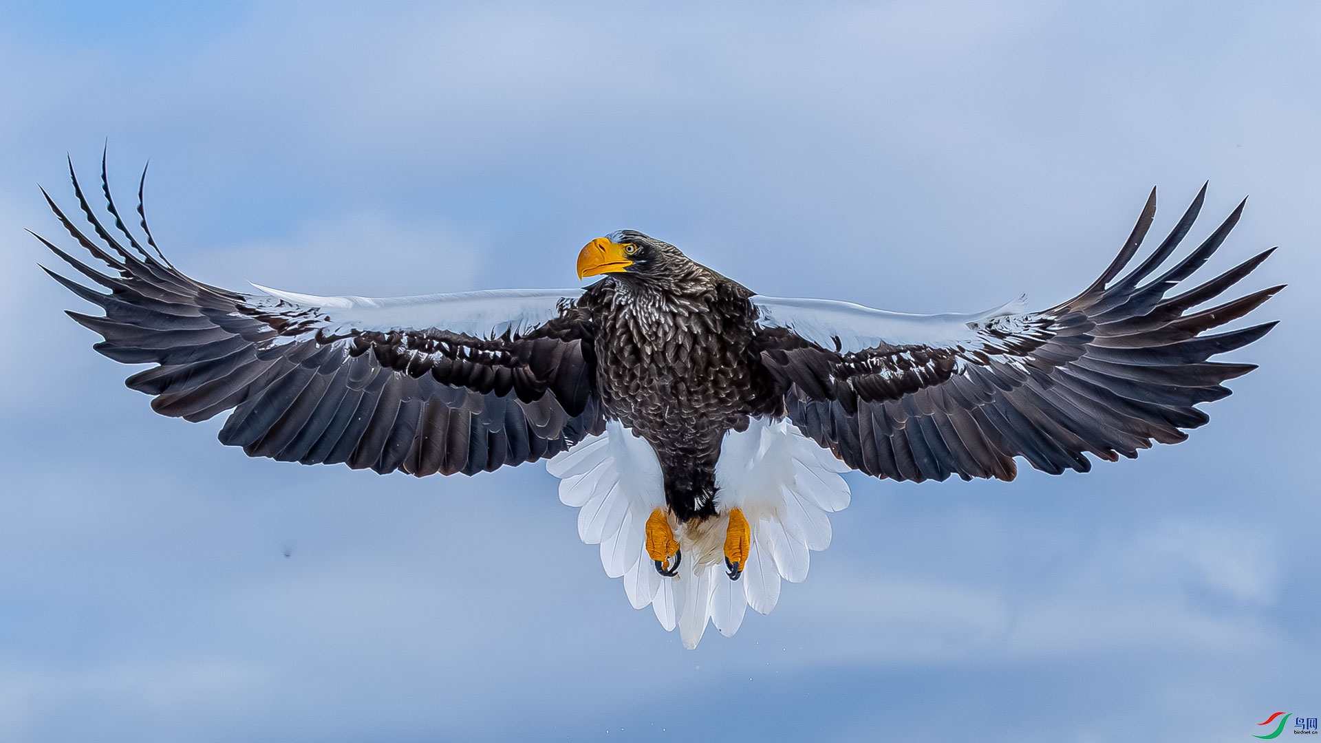 0M8A6985-����ǿ-NR.jpg9.jpg