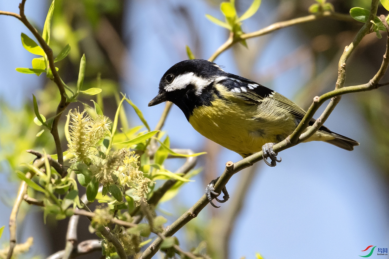 DSC_5086--.jpg