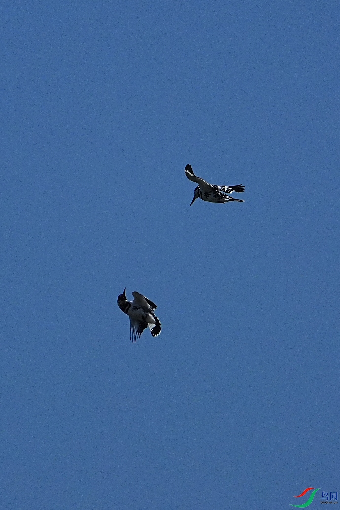 DSC05705.jpg