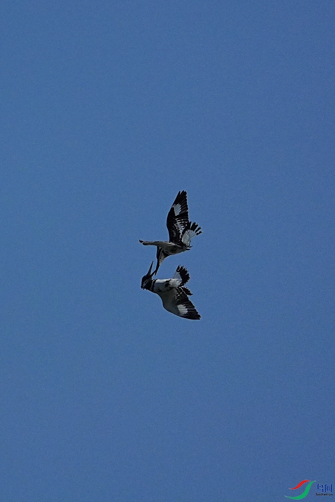 DSC05729.jpg