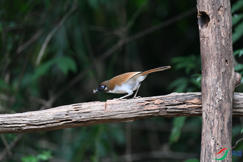 DSC_1879.JPG