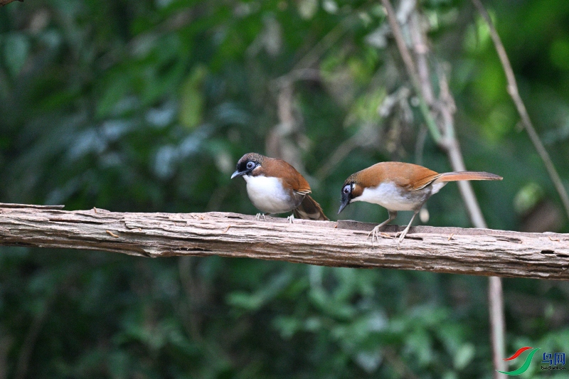 DSC_0944.JPG