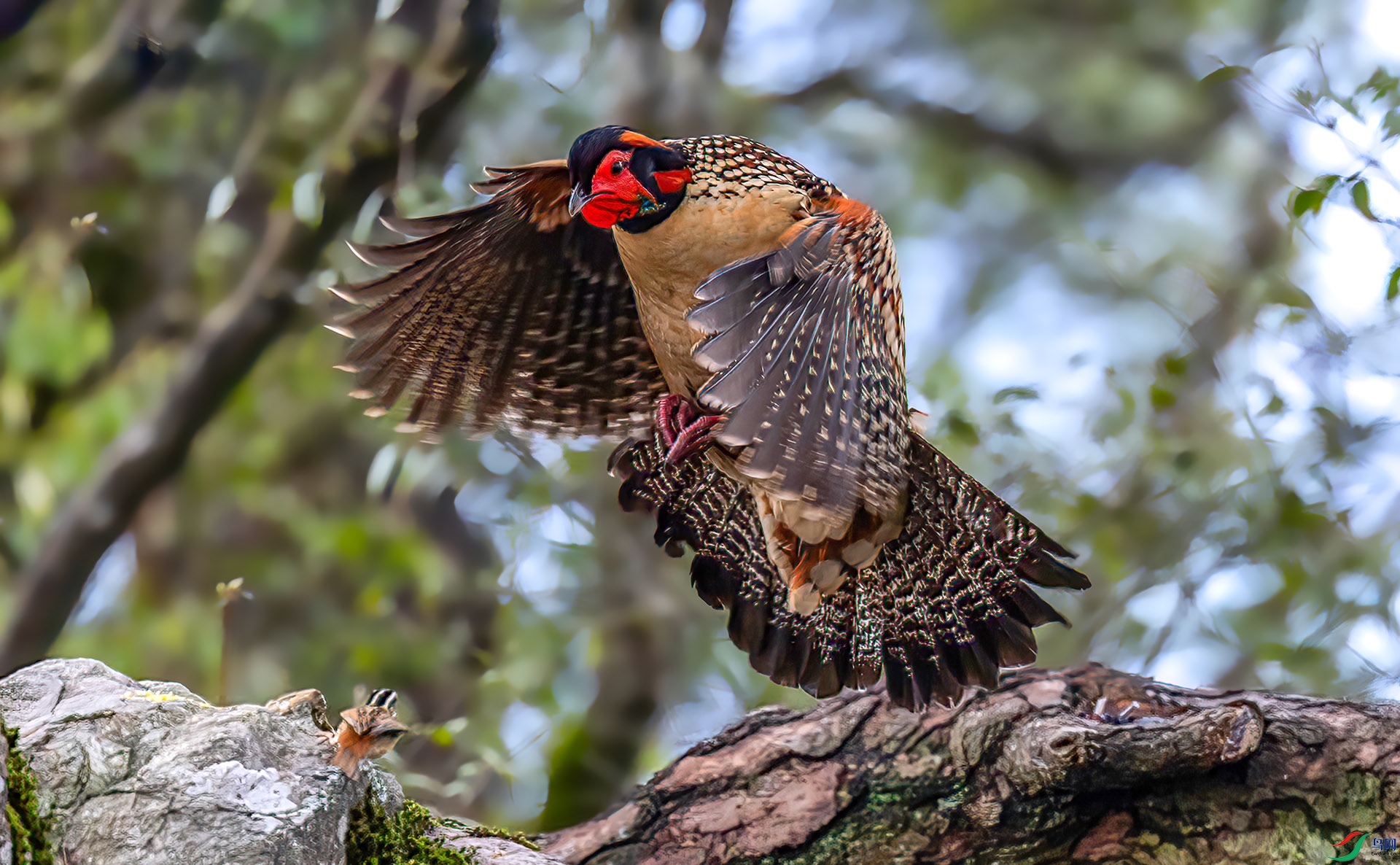 060A8926 ����-Sh----1 .jpg