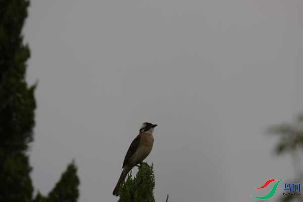 IMG_0018.jpg