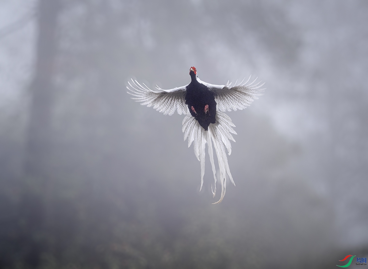 DSC_0642 ����A.jpg