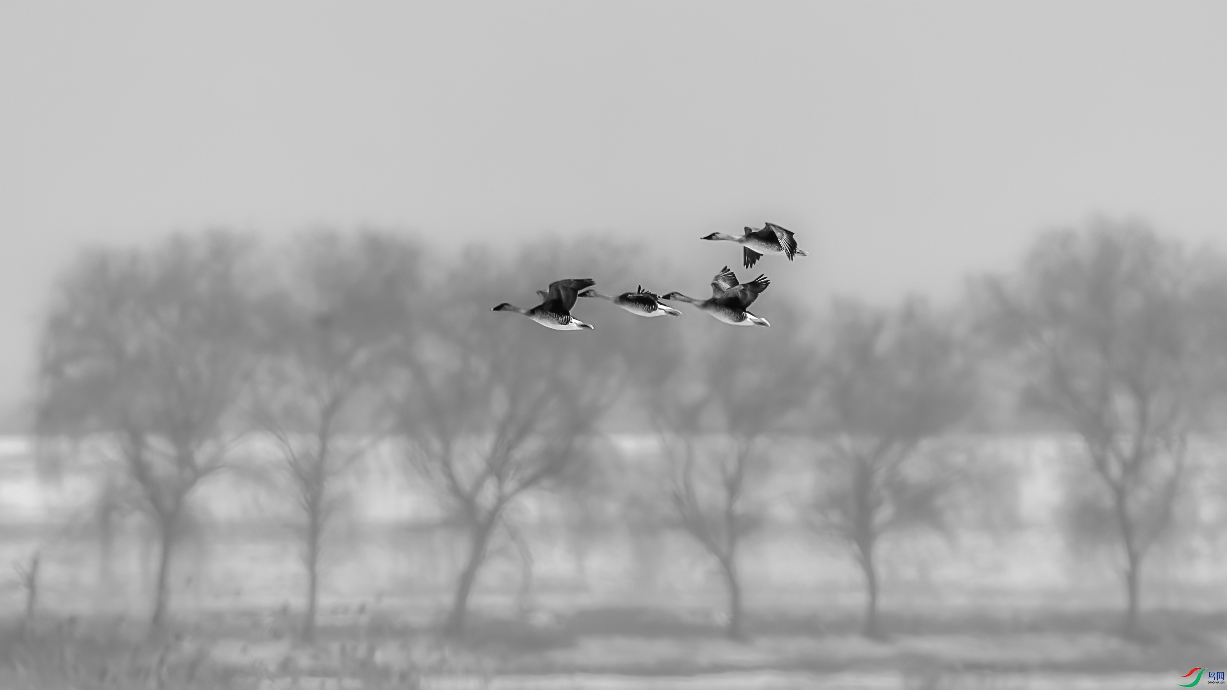 AE1V0262 ����.jpg