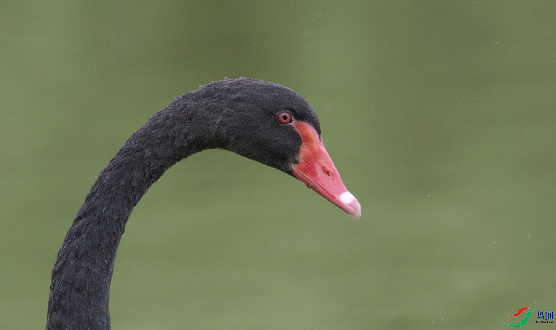 DSC_2955zzz_������С.jpg