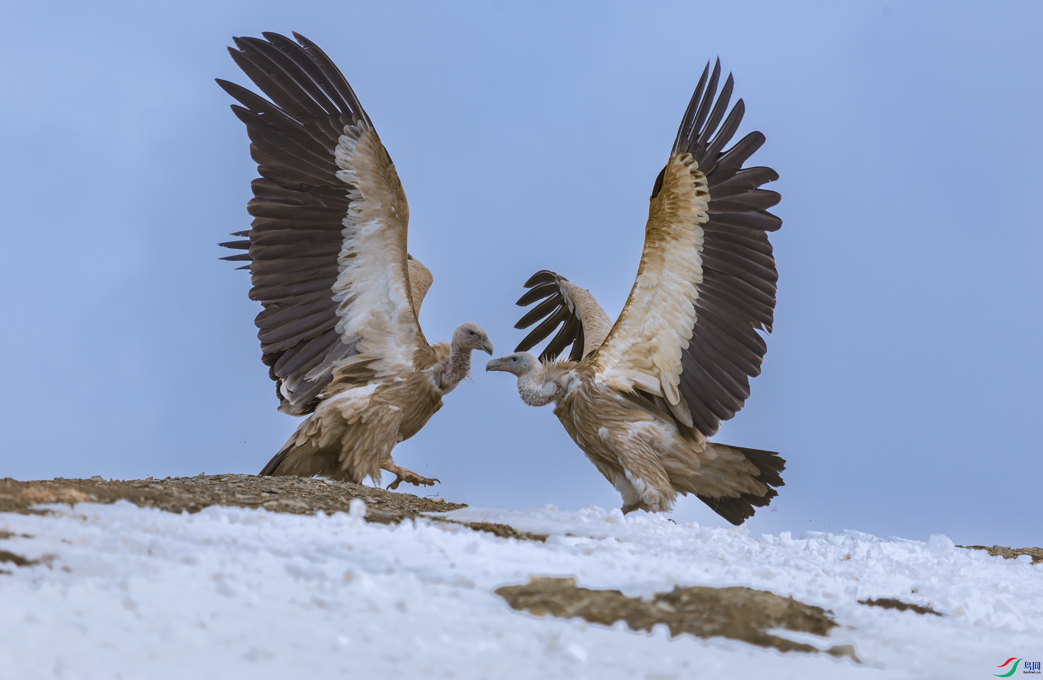 ��ɽأ��070A0956.jpg