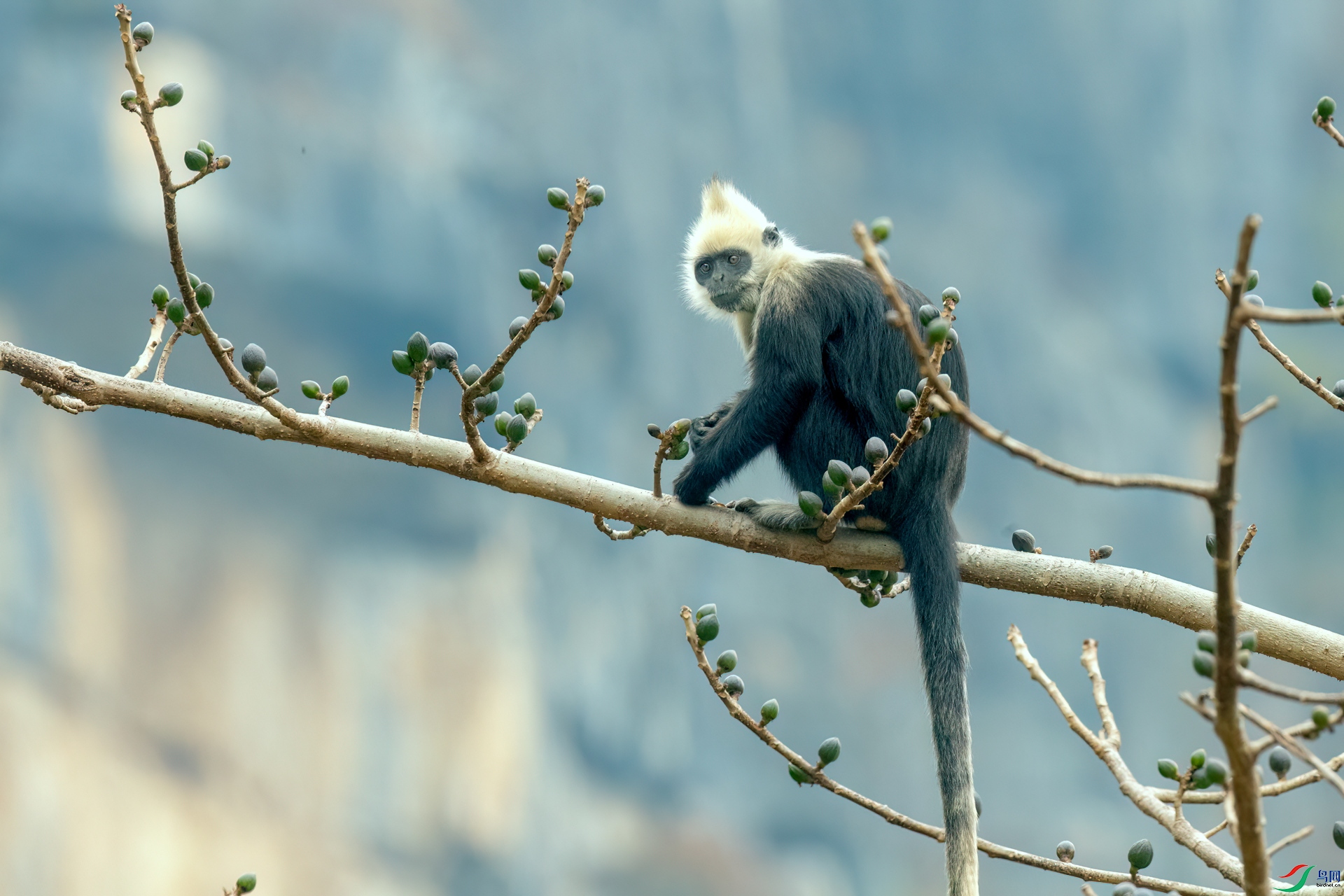 B86I8973 _����.jpg