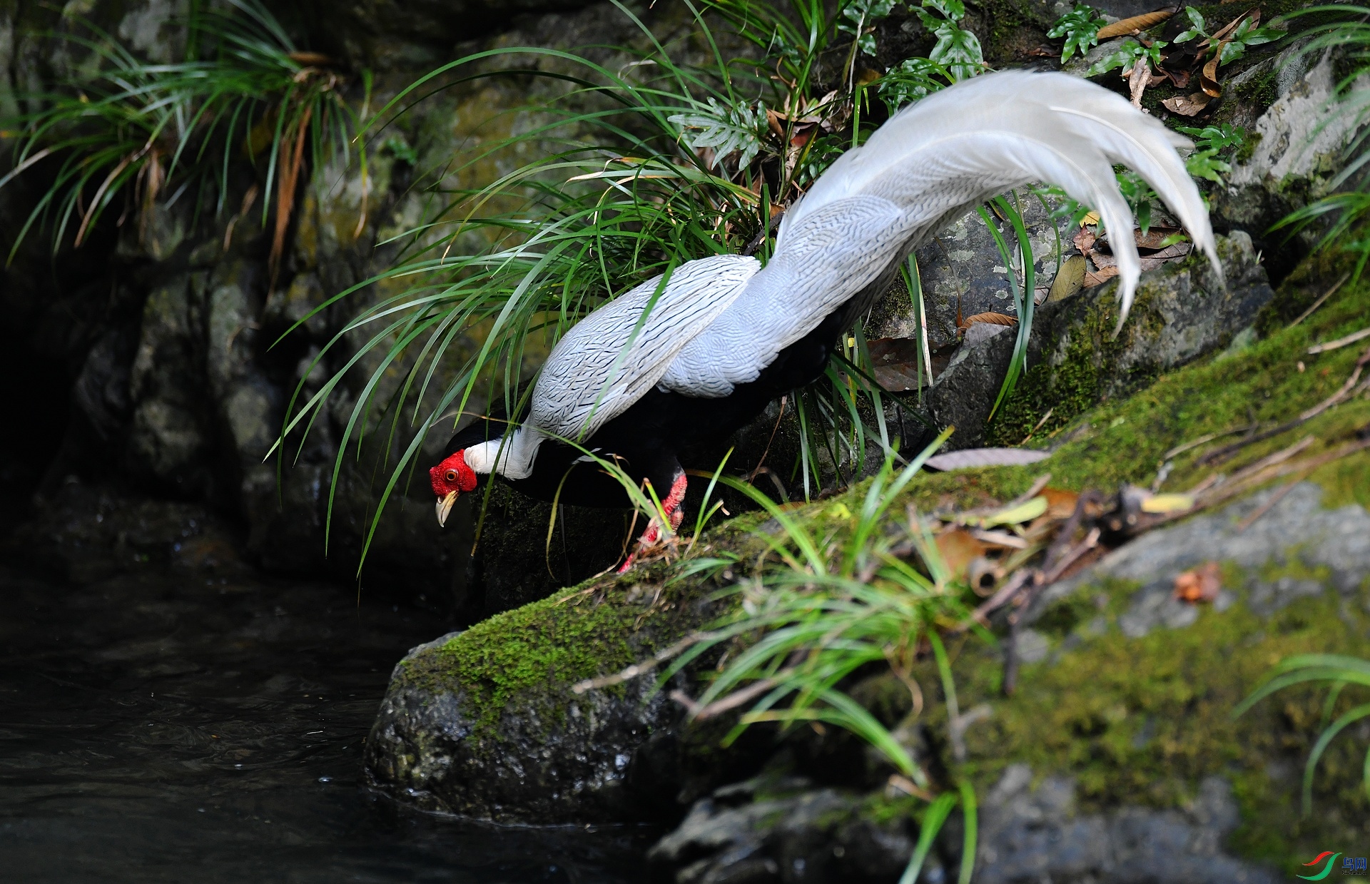 DSC_4953.jpg