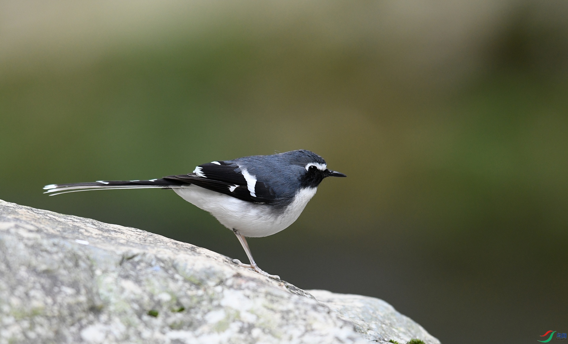DSC_5774.jpg