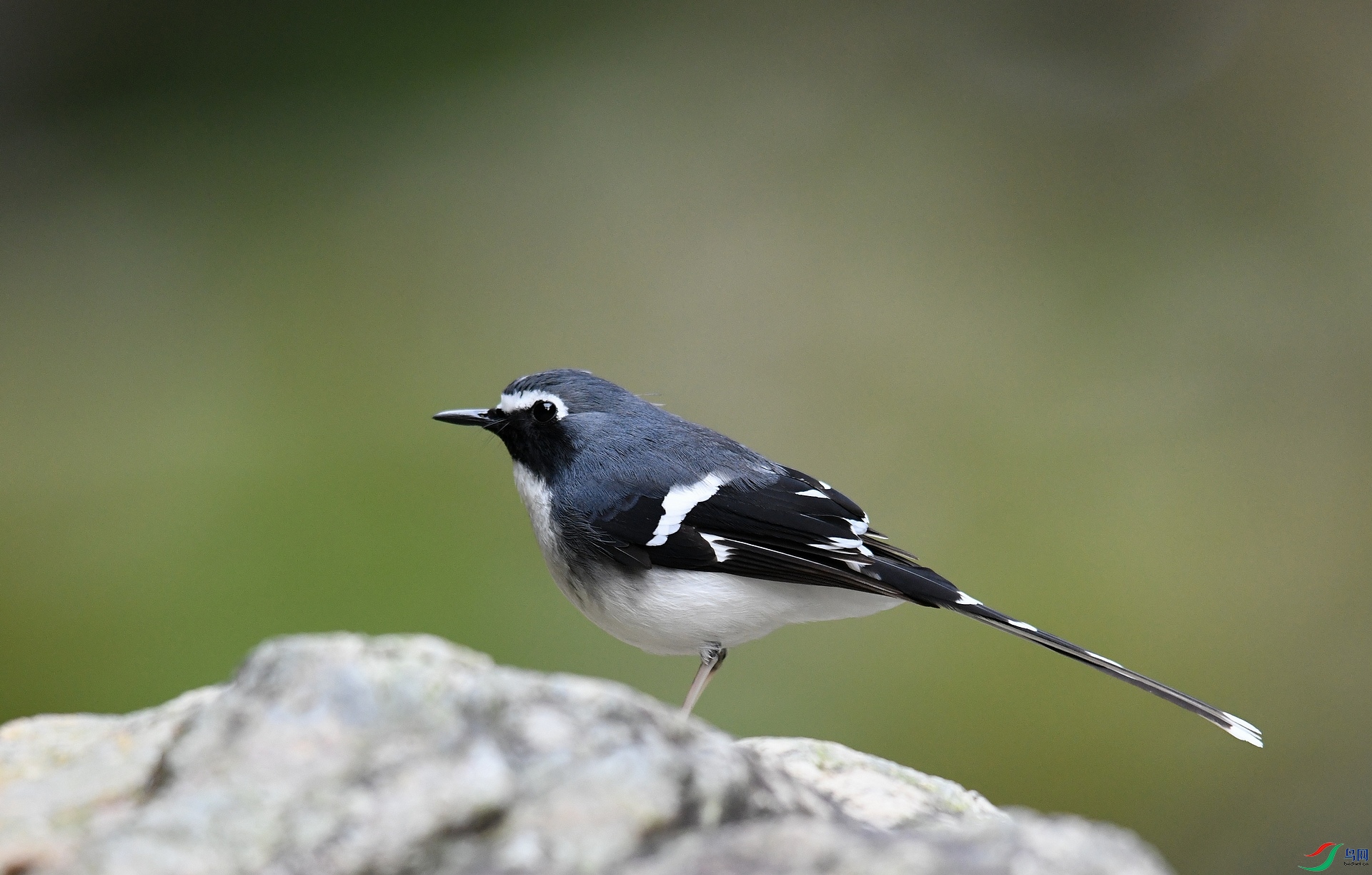 DSC_5771.jpg
