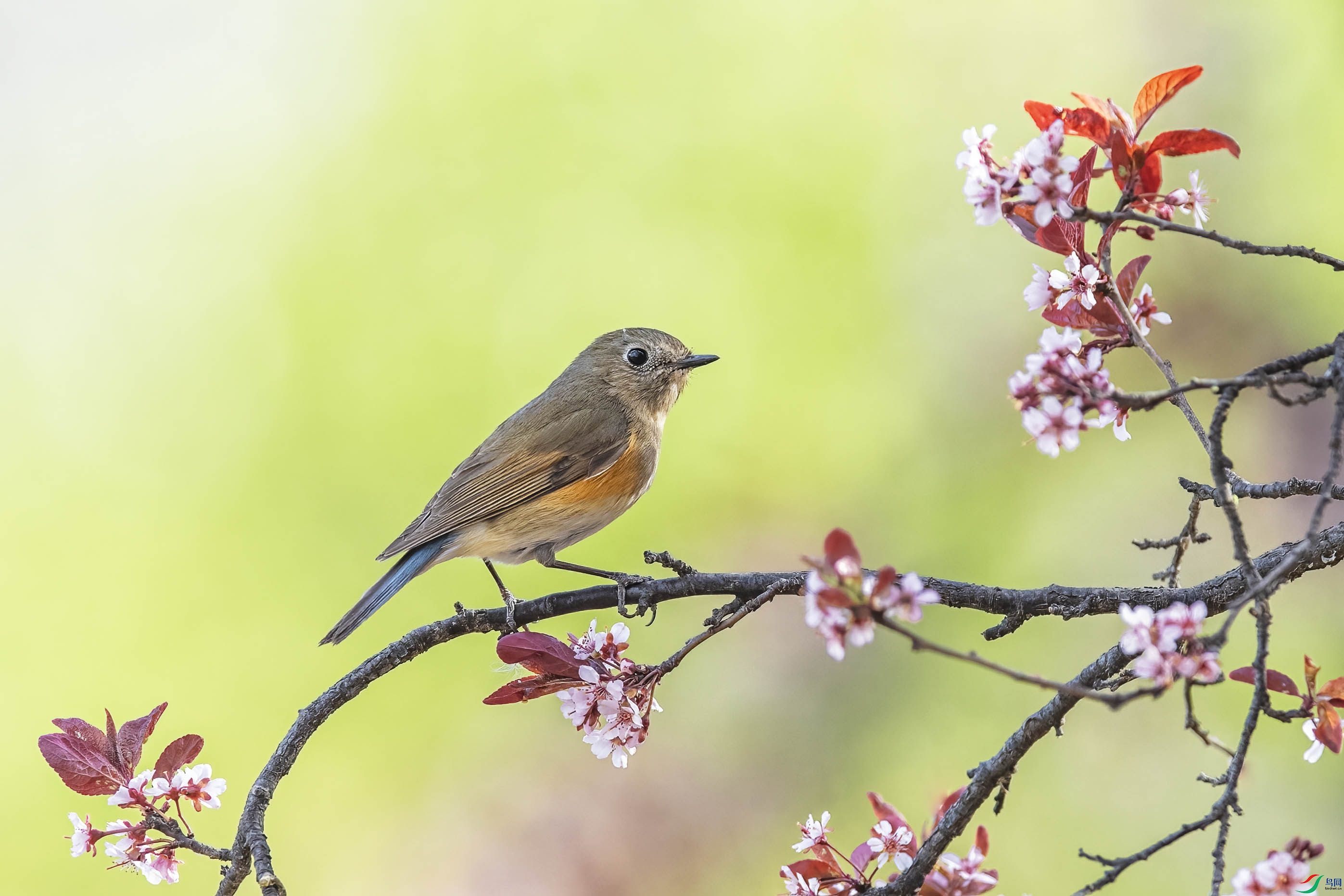 DSC_8162 ����.jpg