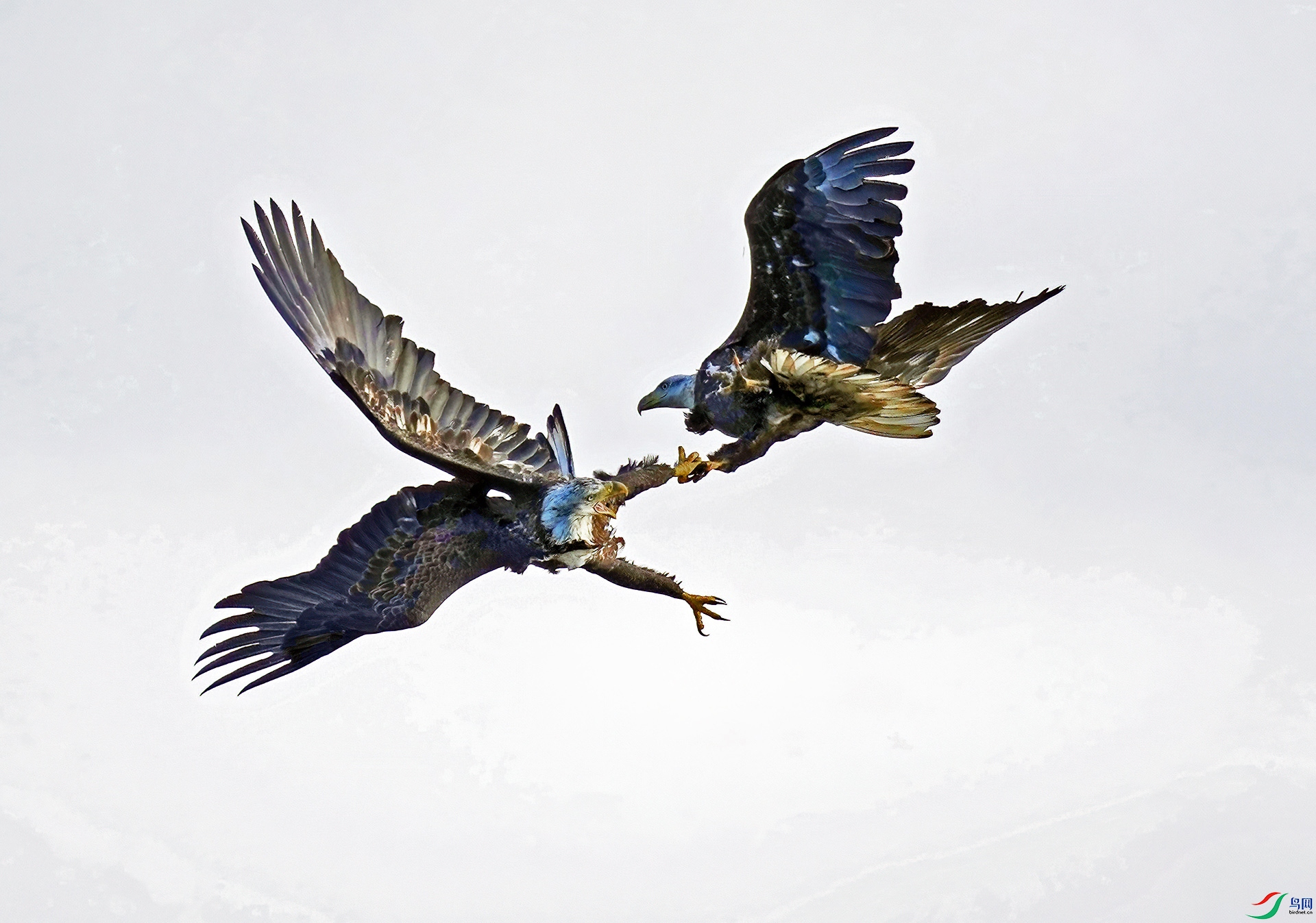 DSC08985--.jpg