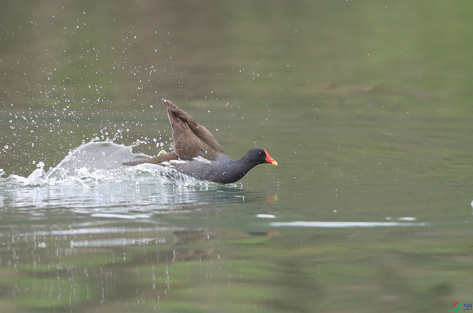 AI0I4826ˮ ��.JPG