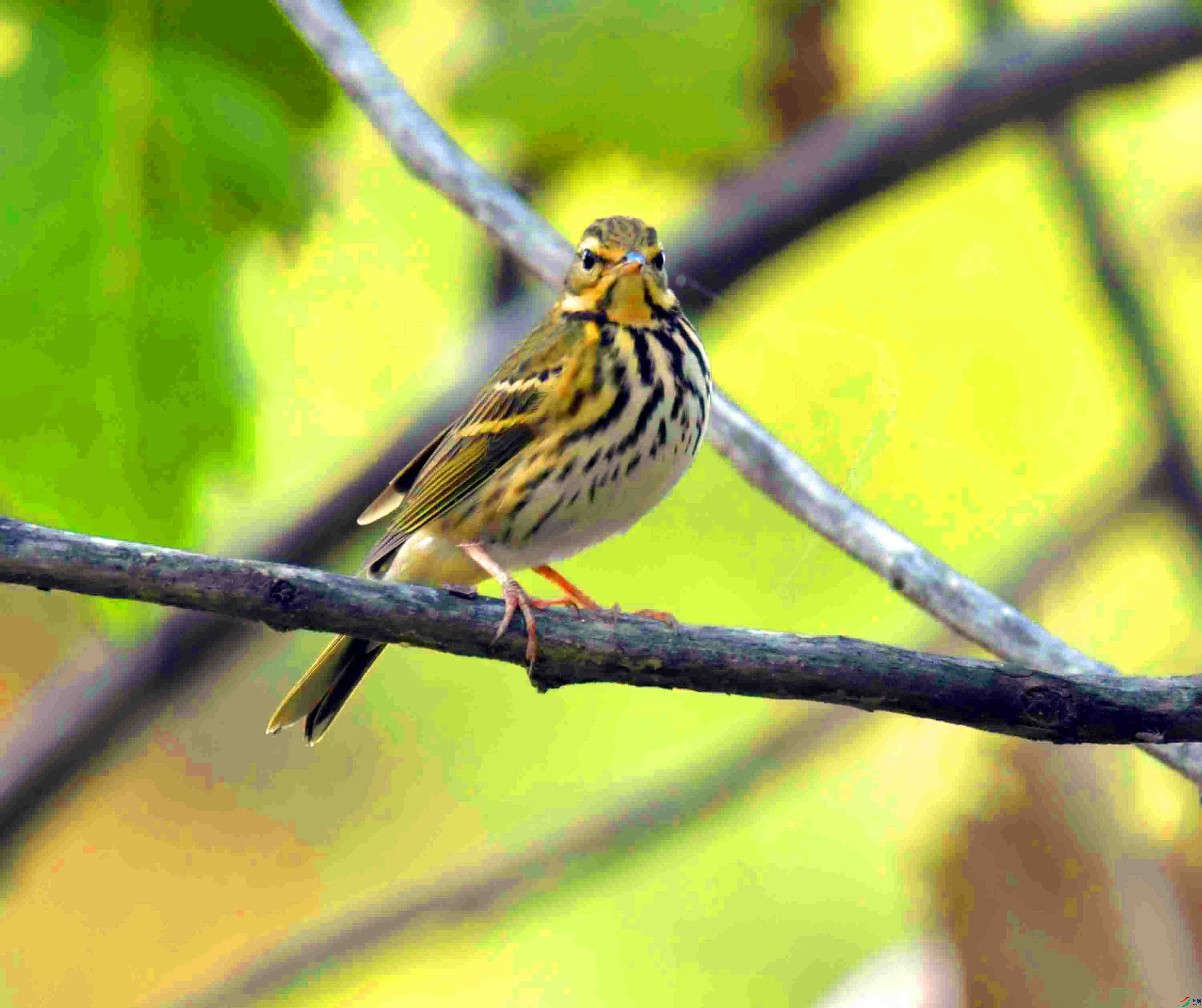 DSC_6089.JPG