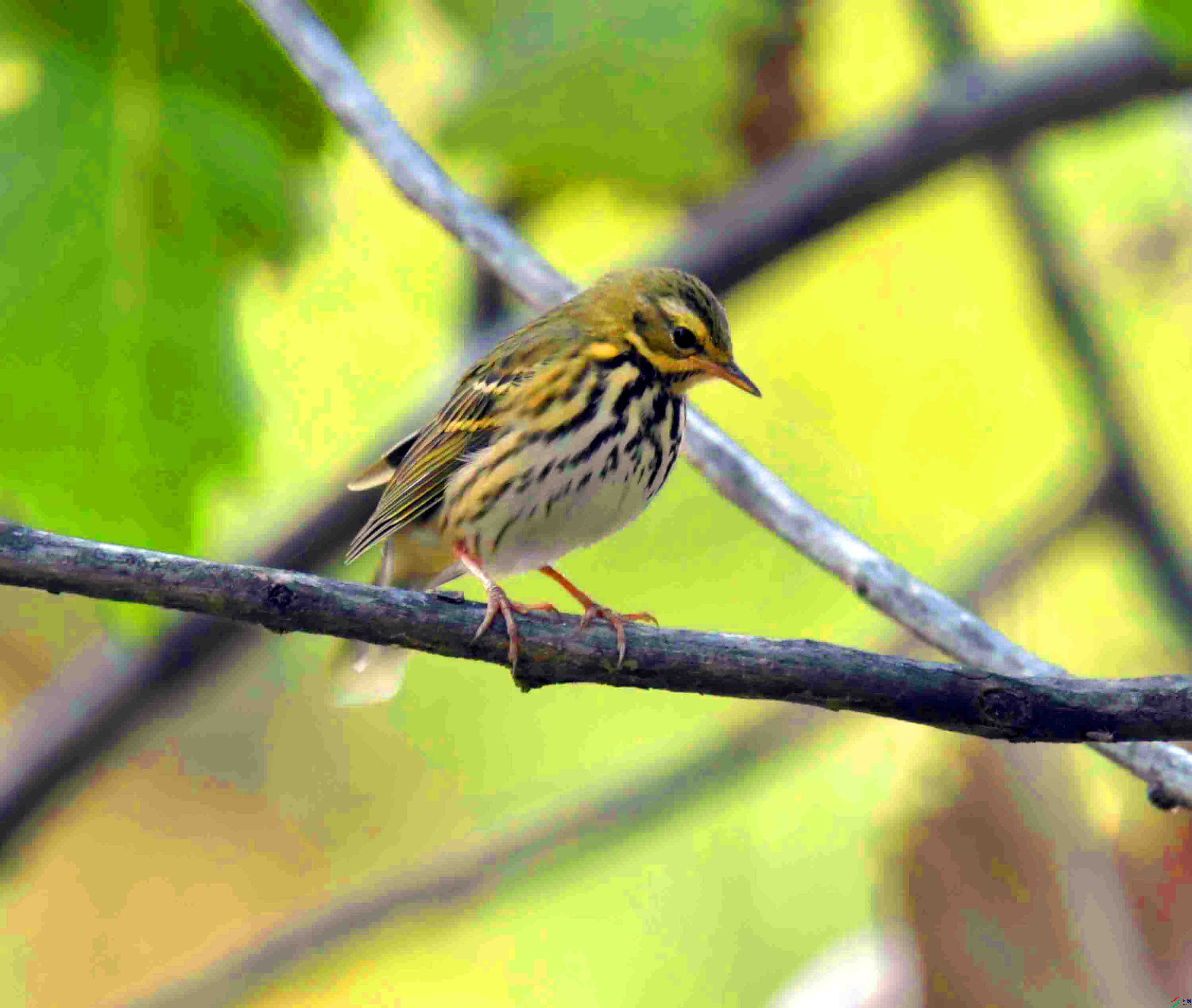 DSC_6120.JPG