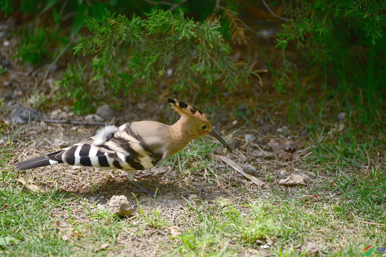 DSC_8037.JPG