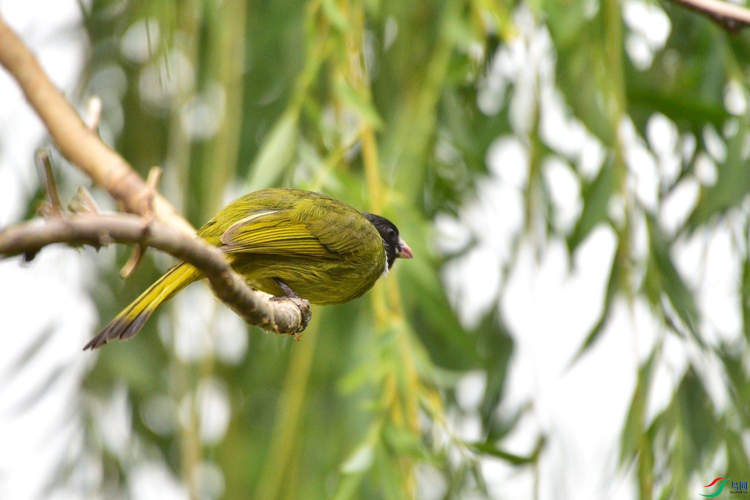 DSC_8391.JPG