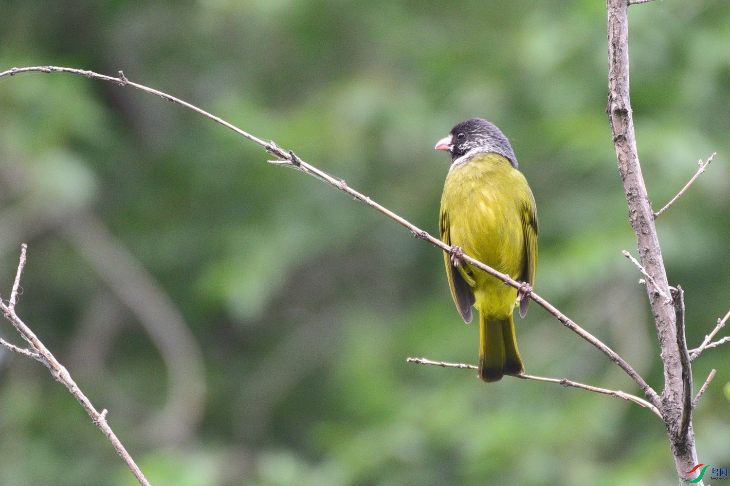 DSC_8364.JPG