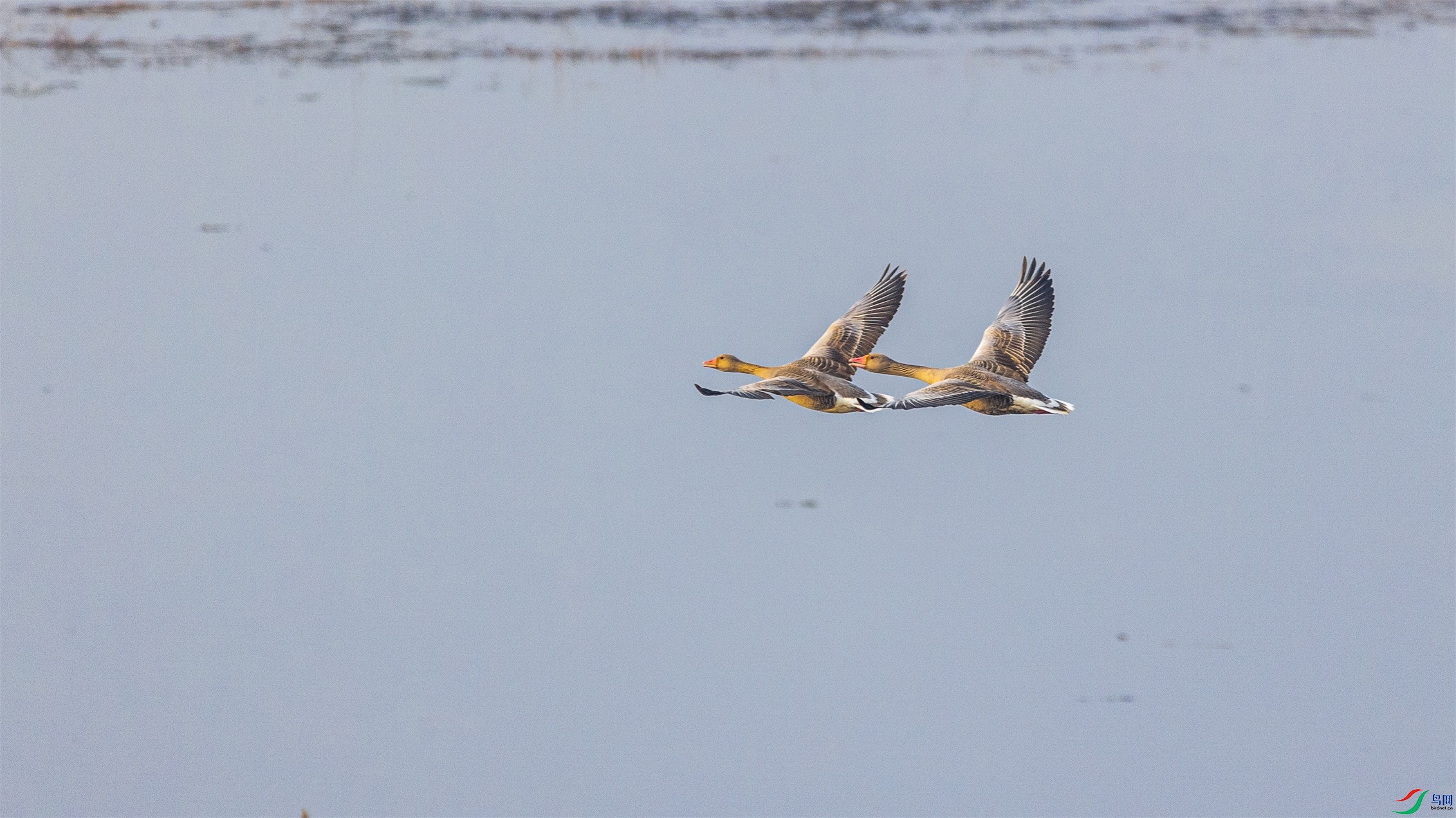 1K3A3958 ����1.jpg