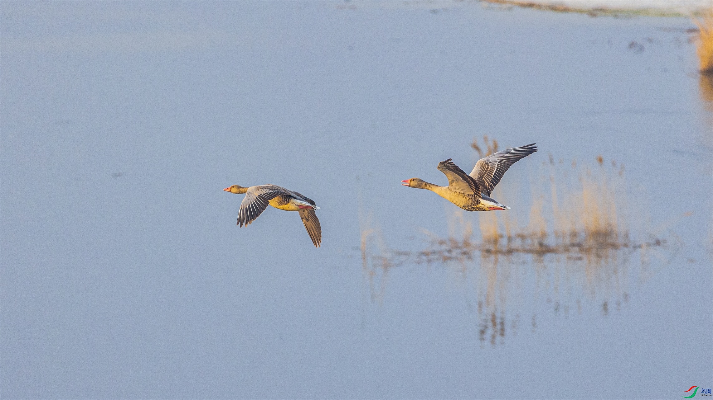 1K3A3954 ����1.jpg