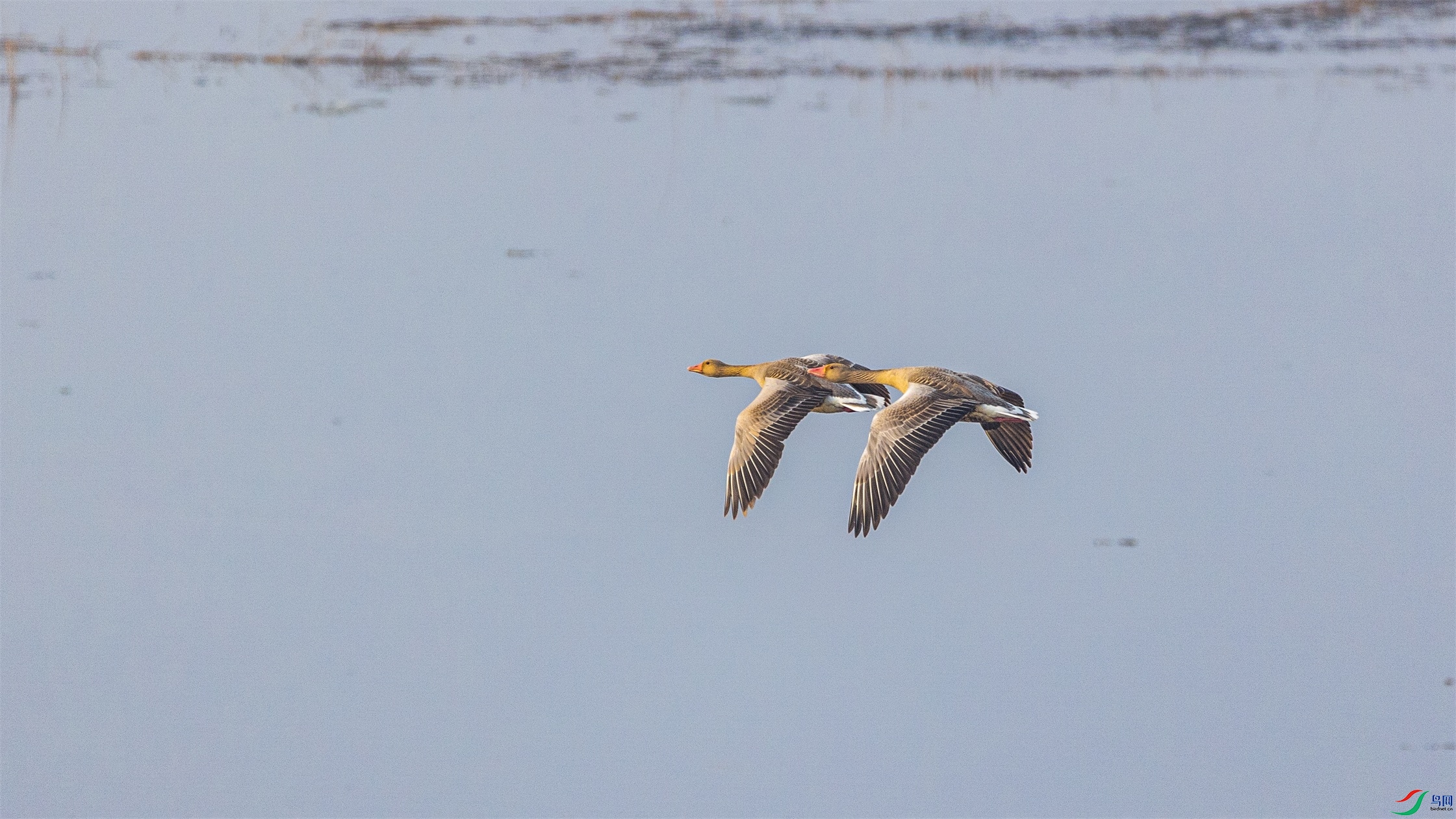 1K3A3960 ����1.jpg