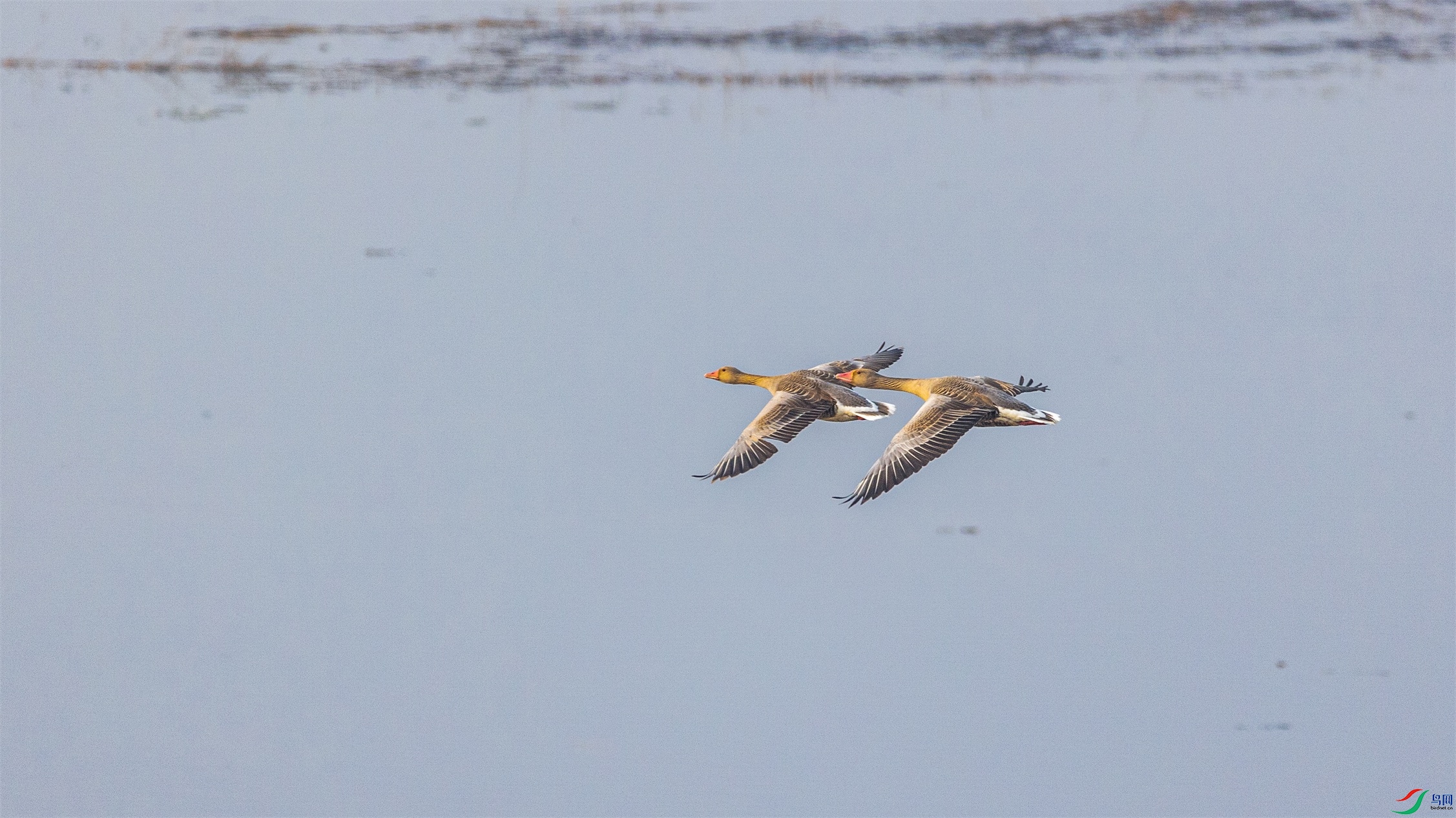 1K3A3959 ����1.jpg